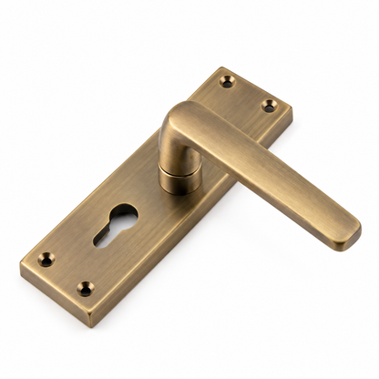 Mortise Lock 8" Plate Handle 60mm Combo SS Material P6019 DRT
