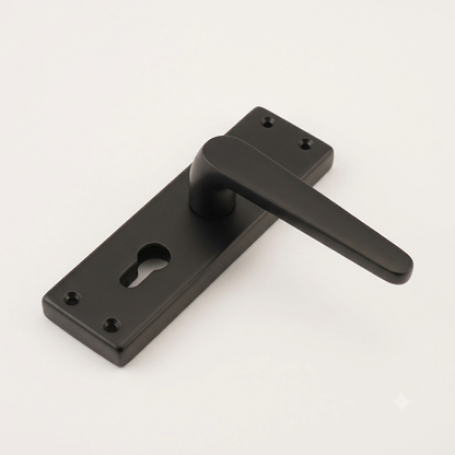 Mortise Lock 8" Plate Handle 60mm Combo SS Material P6019 DRT