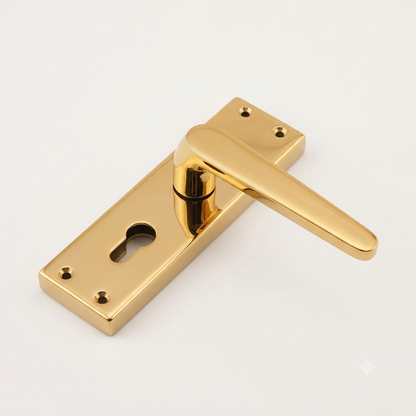 Mortise Lock 8" Plate Handle 60mm Combo SS Material P6019 DRT