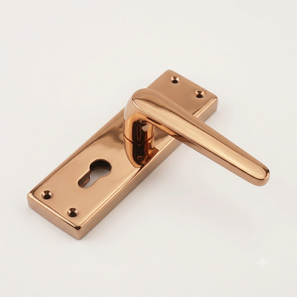 Mortise Lock 8" Plate Handle 60mm Combo SS Material P6019 DRT
