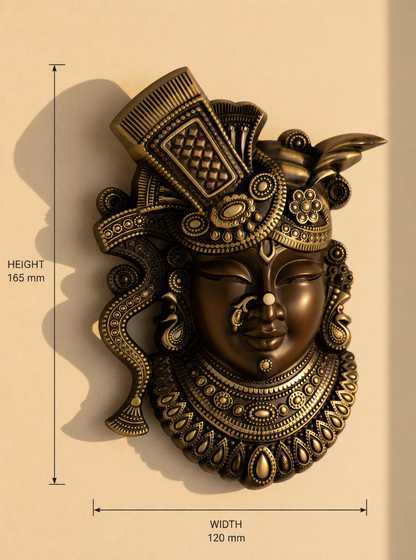 Brass Dwarkadhish Statues 120x165mm Coffee Antique Finish PP